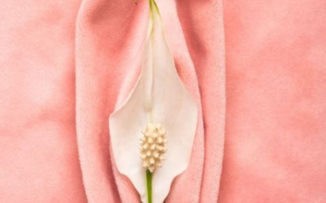 Imagem de uma flor de leite, representando a Hipertrofia dos pequenos lábios